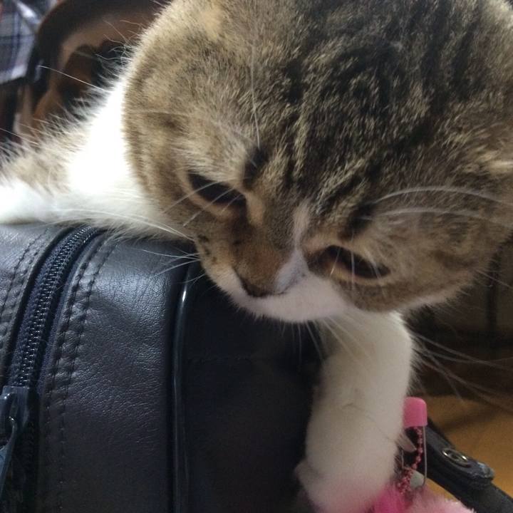 5a866a62 9df3 4215 8a87 e83a40db15c1