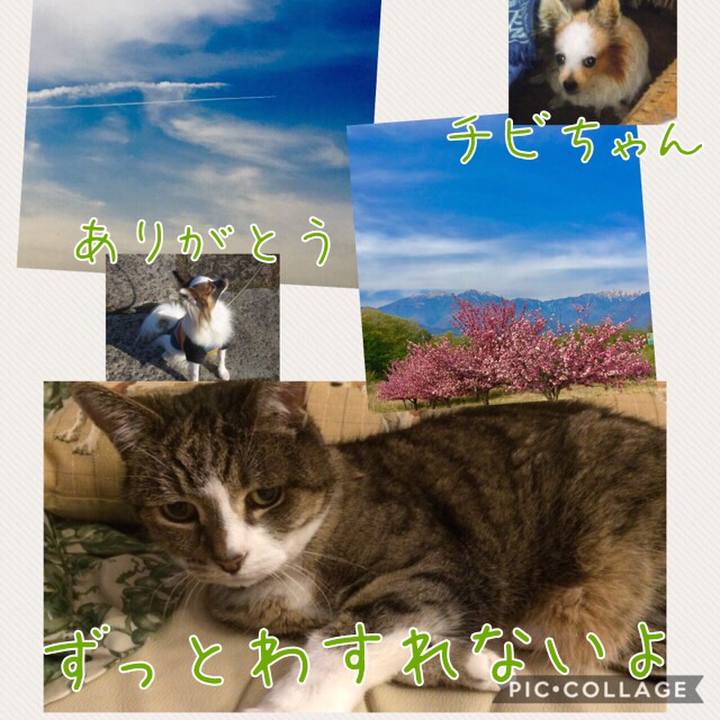 5a8786da a4b6 4c9d 93f9 ec521f4372c2