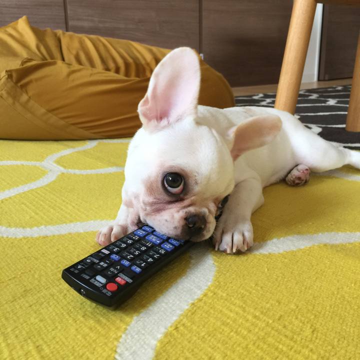 5a87f1d0 8054 4240 a3dc 5ab3624cf21a