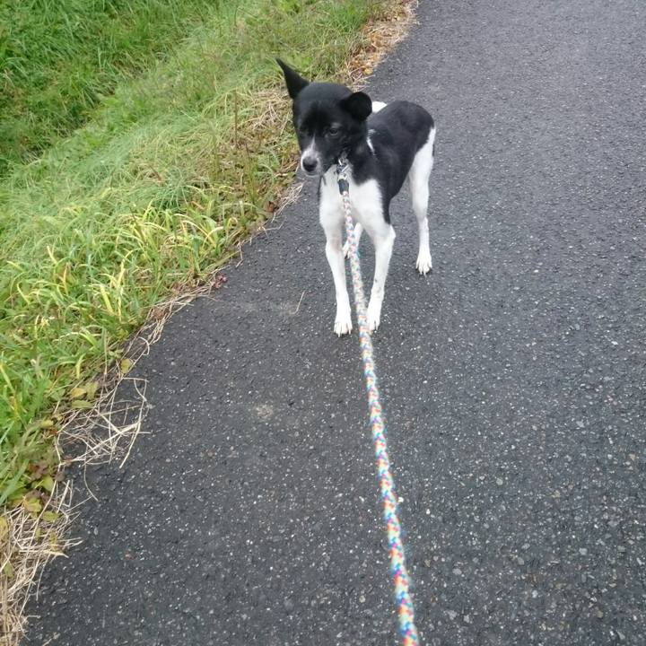 5a885f47 69ff 44f1 8504 6c46deb50038