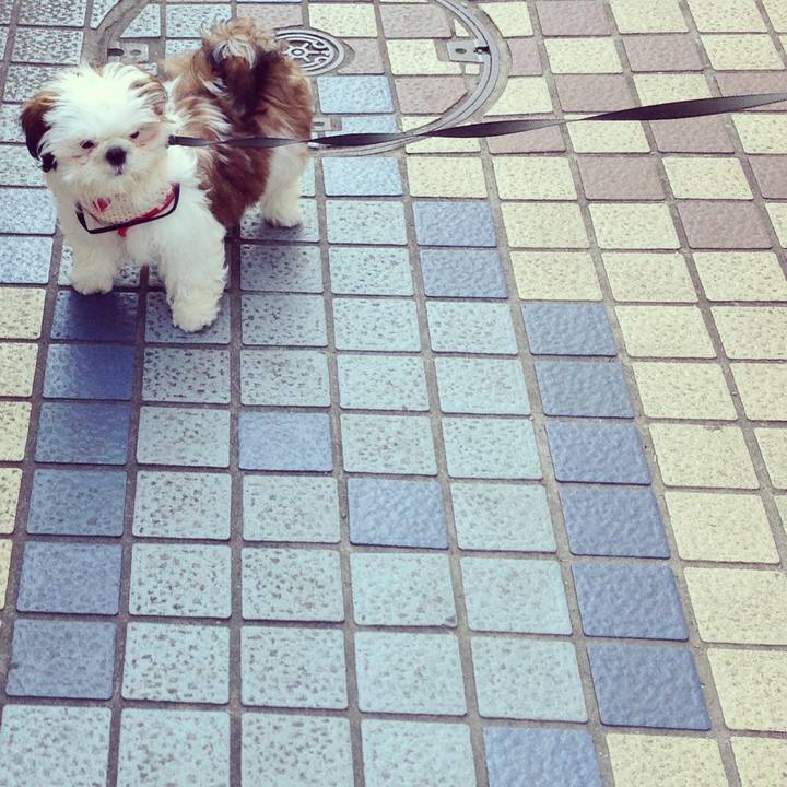 5a888ecd 6adb 4cde aea5 30ec30e45686