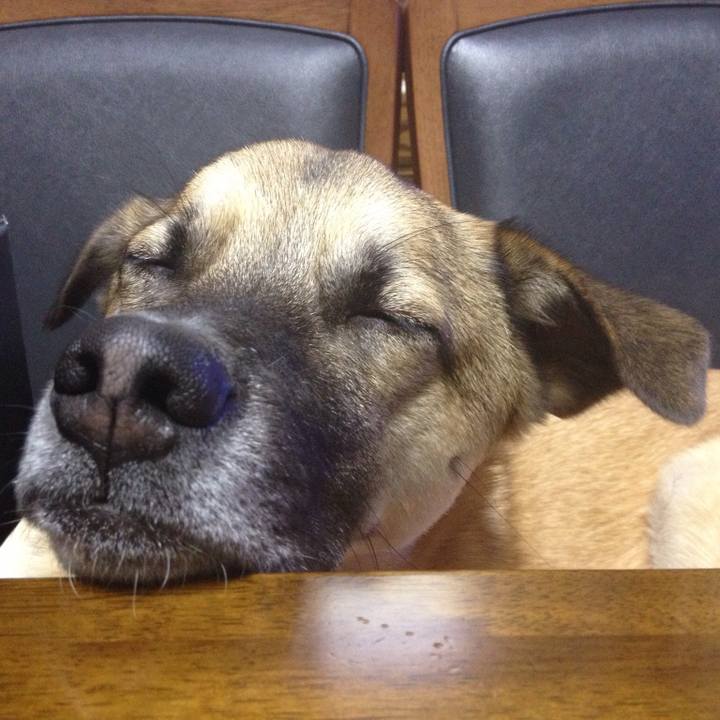 5a8893fa f9c7 4d44 8b20 83b08ca98ac1