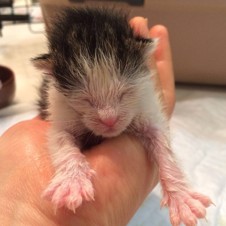 5a892dd1 5be3 47f2 a573 bd6c33777f5f