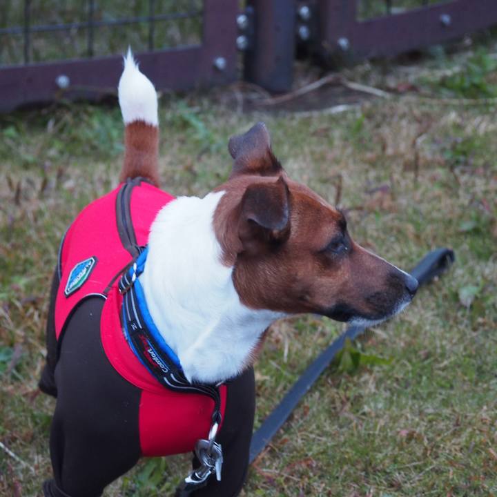 5a8977a9 f131 437b 9492 21de4f2b7a85