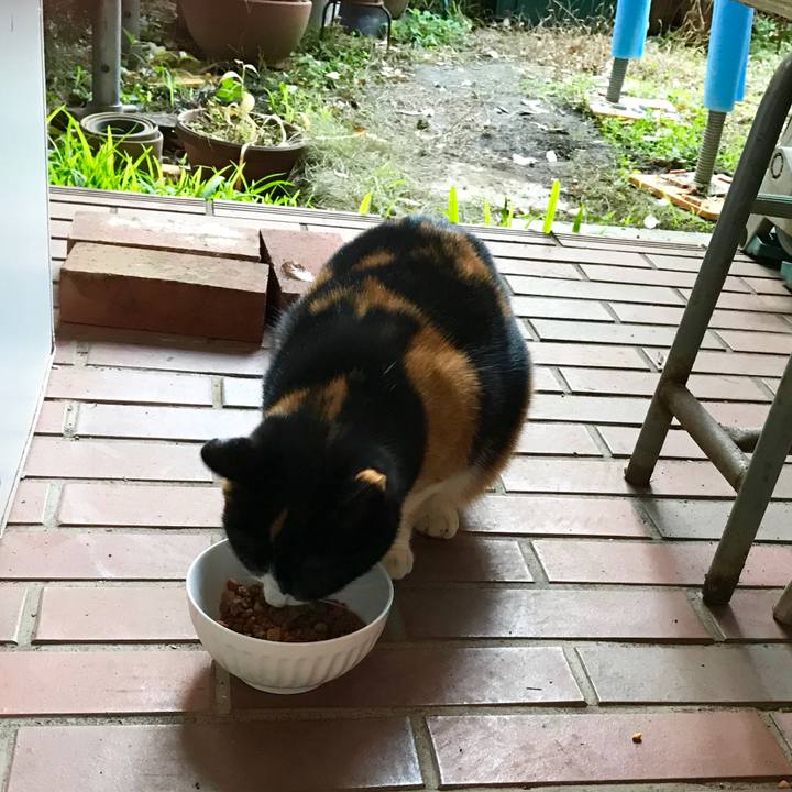 5a89ecff 3773 49e8 ad30 8cf337055898