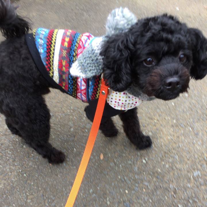 5a8a11e2 2622 489f 8b81 f4b70c0d19dc