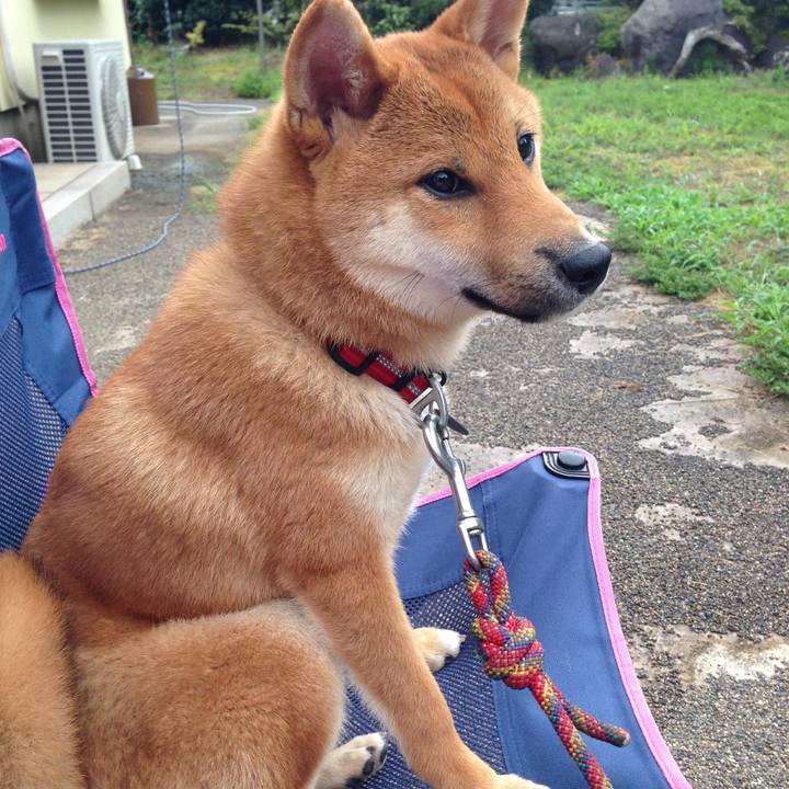 5a8b010d 278b 401f 85b3 912a2ffd97ed