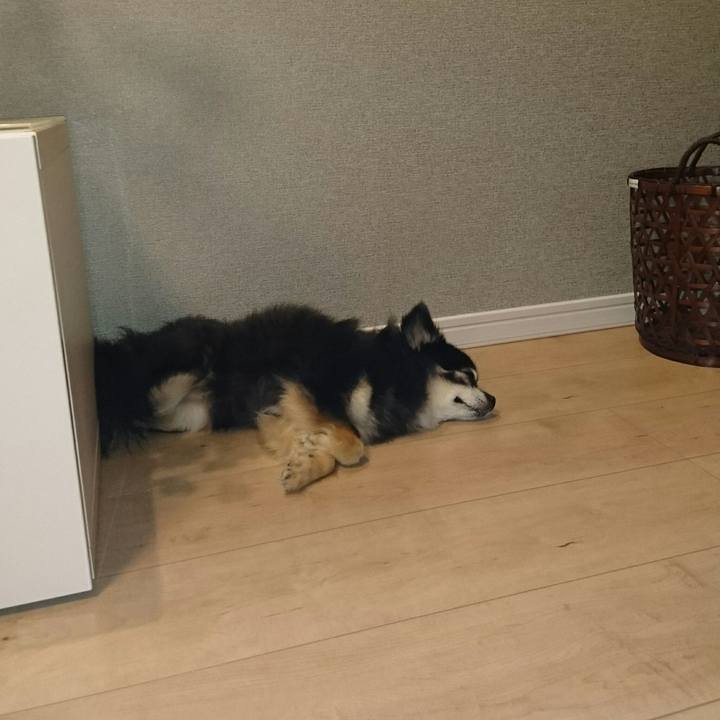 5a8b4b03 bb2e 4604 bd24 85f1d55331a6