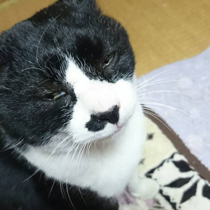 5a8b9338 38fc 4f24 bd85 7d052cfc030c