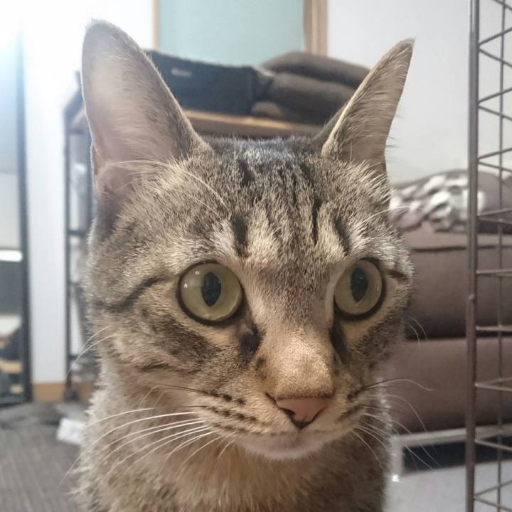 5a8b9776 e284 459c ba13 206b82138e5d