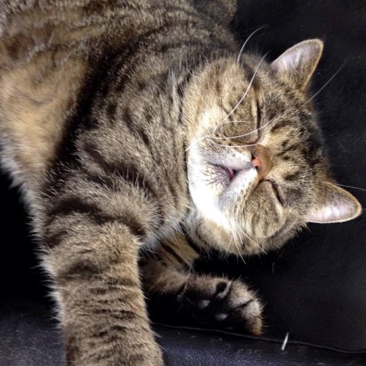 5a8bc115 6801 45e8 b73c 49fdcb0e1094