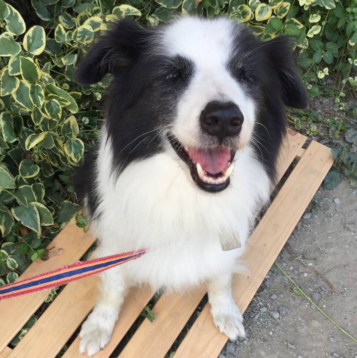 5a8bc685 37e3 48d8 af78 3269da75b37f