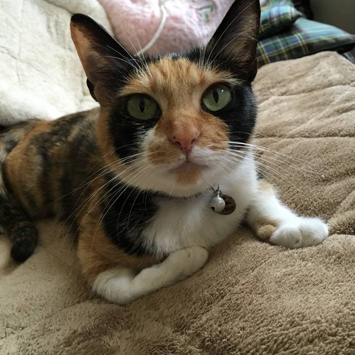 5a8c30f0 6bfe 43ea 8127 0ea04afa8f60