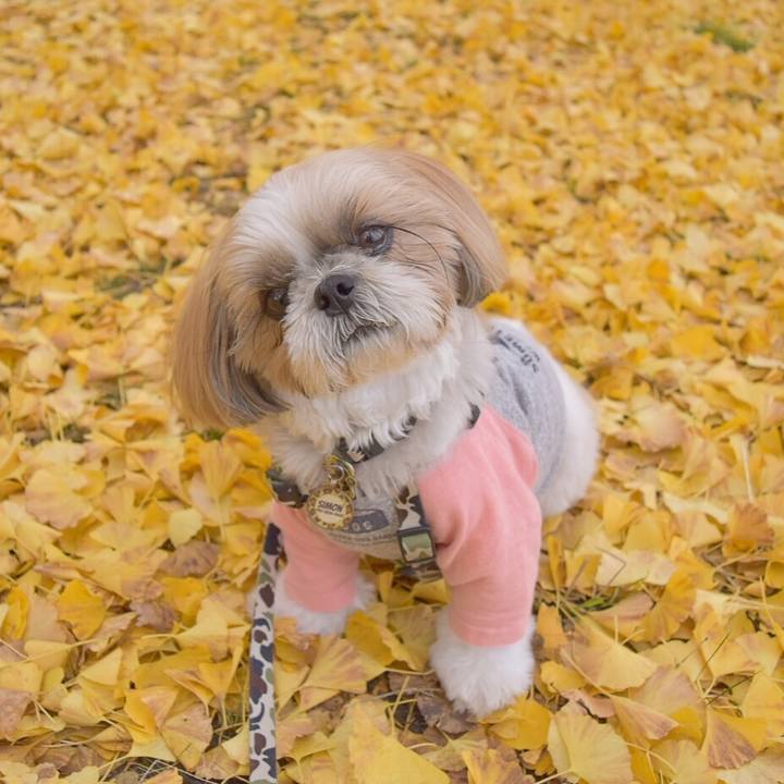 5a8cc153 4589 4422 81fa e4a7be5b7802