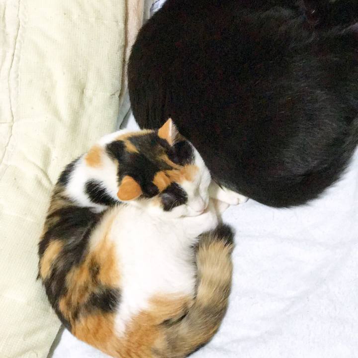 5a8d1f55 9c27 400b afdf d19040ba5a95