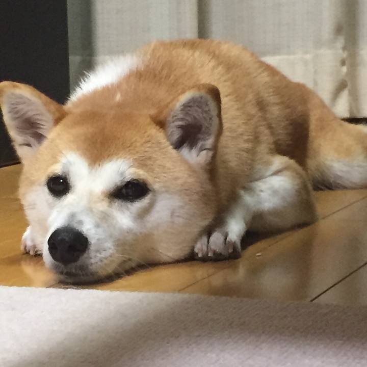 5a8d9e1b 926e 44b5 9cc0 70a76acf7daf