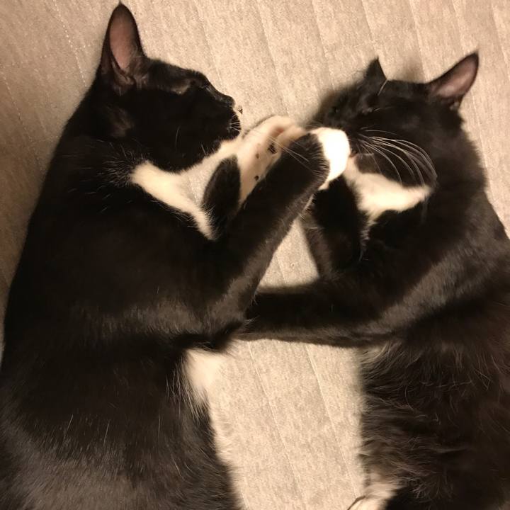 5a8daa58 fac7 4191 b592 da428fa3a325