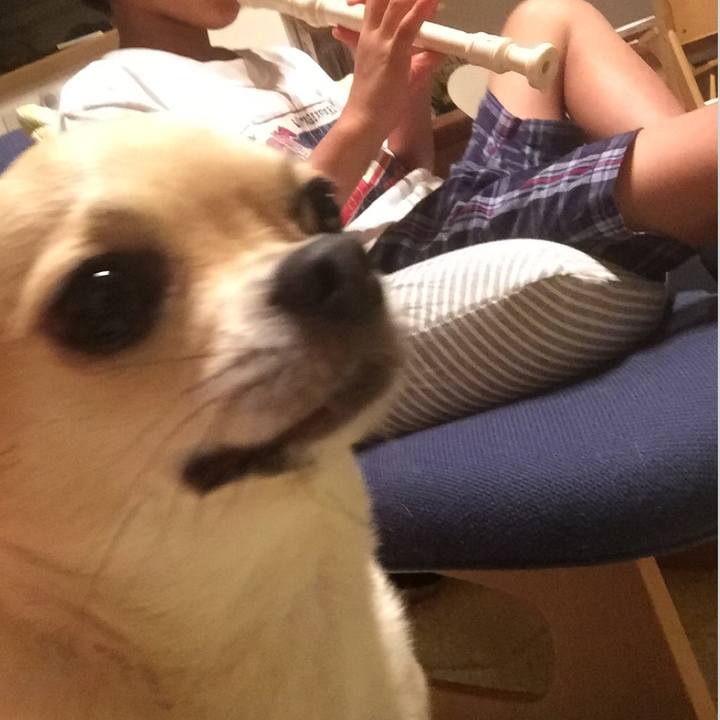 5a8ebaa9 39de 49a2 aa2c 86f0e6e1460f