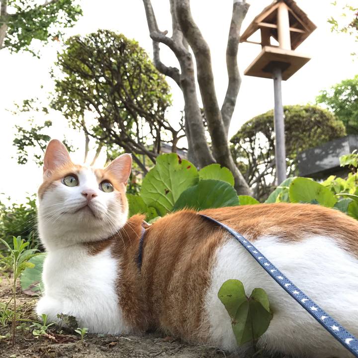 5a8ee23f bfca 4672 b53a 9fae32f1b1f6