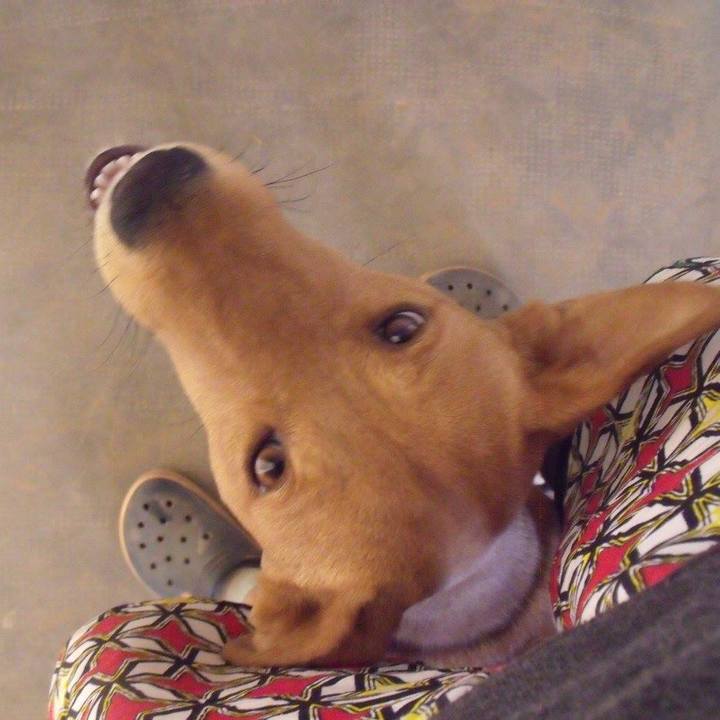 5a8eeefd 5ecd 49e6 ad76 8094e107d8cd