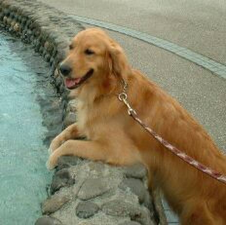 5a900da2 743b 45c6 886b c98bc4334edd