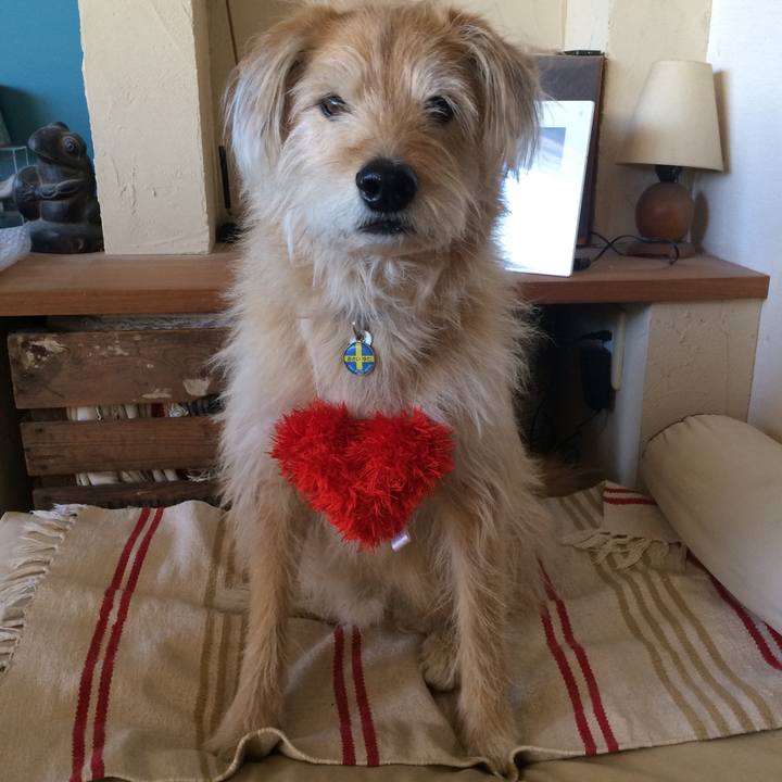 5a90c1db 7e0e 4695 b2d2 829f473a6362