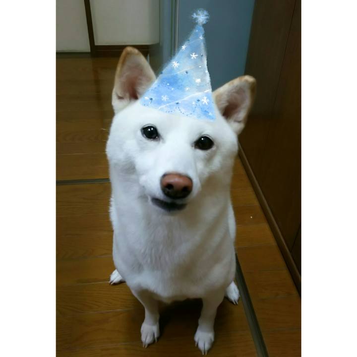 5a92ea5f 92a5 4680 97e0 b9781891ecd3