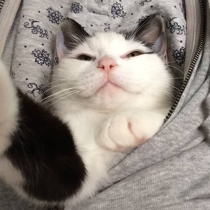 5a93059c a151 4bfd 9203 0e7d097c3ad8