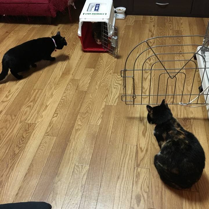 5a932f05 c1dd 4758 9f07 069a7b1d1a1d