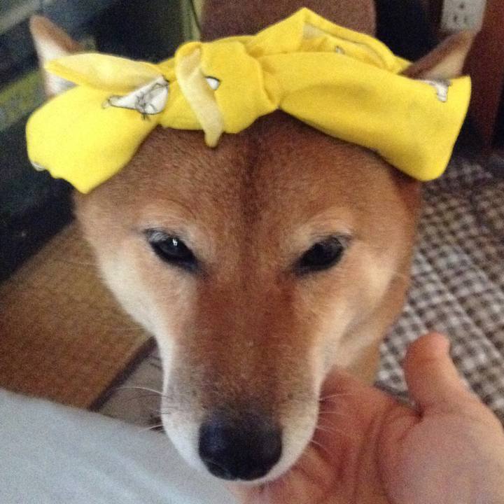 5a93fedb 95ab 43e9 9557 cbc54d62ce48