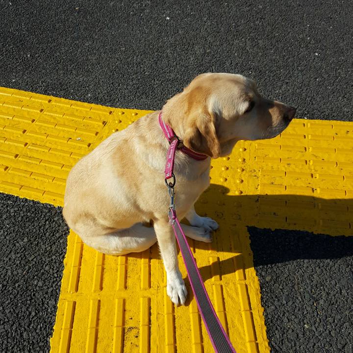 5a941b44 4057 451f 8757 daa3e7328072