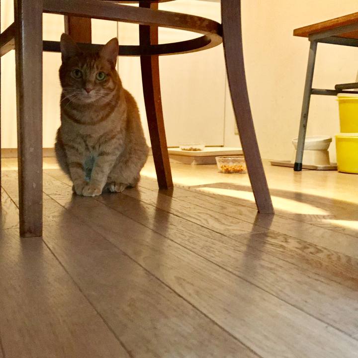 5a948cef a103 4df5 ad05 dd9fad213eab