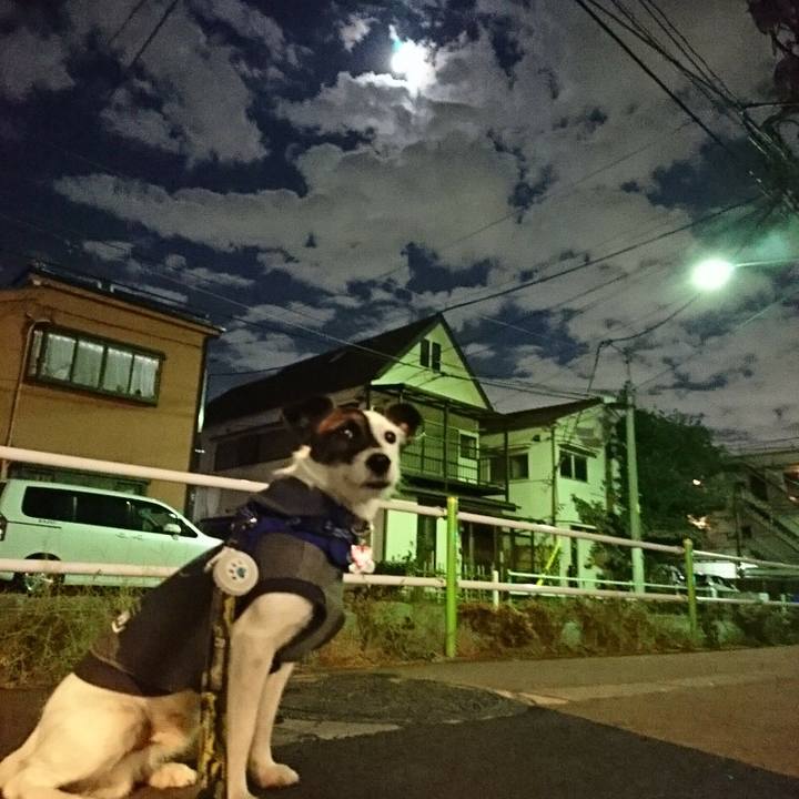 5a94c13e e30e 4810 8053 3b253ed1caa8