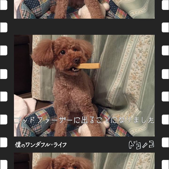 5a94d705 1d94 4a39 a415 72c61c4a9709