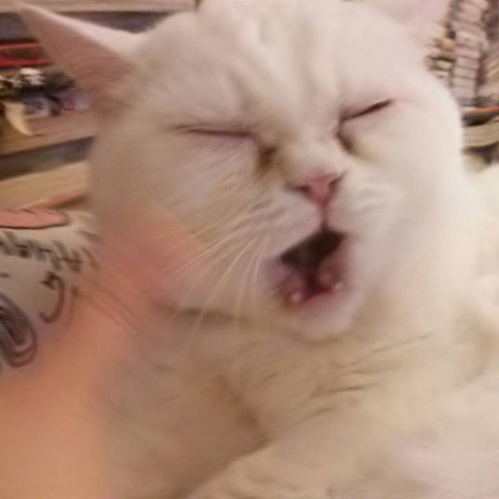 5a957be7 458e 4178 819a cdb8a53fb4eb