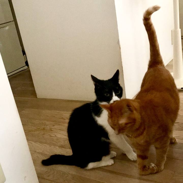 5a9585f6 3d1c 465f b777 7573e7416bdc