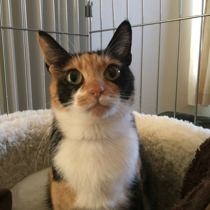 5a95acbd 5624 480d af8d 05045e17909e