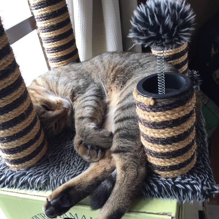 5a95ce9f 8153 4a4f a2b7 f63d0994c87b