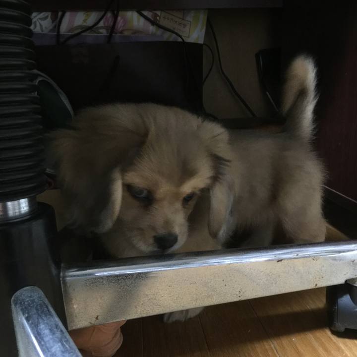 5a96b560 bdff 438e 973d d721fd34fb47