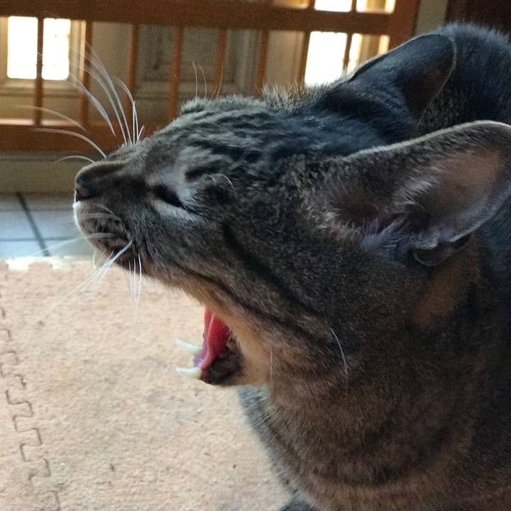 5a9711b6 90ba 4664 82c8 53e7cb456d16