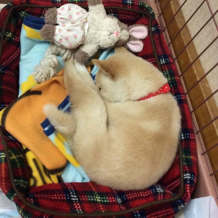 5a975481 4a19 4a1d bef6 bdbc1eca1111