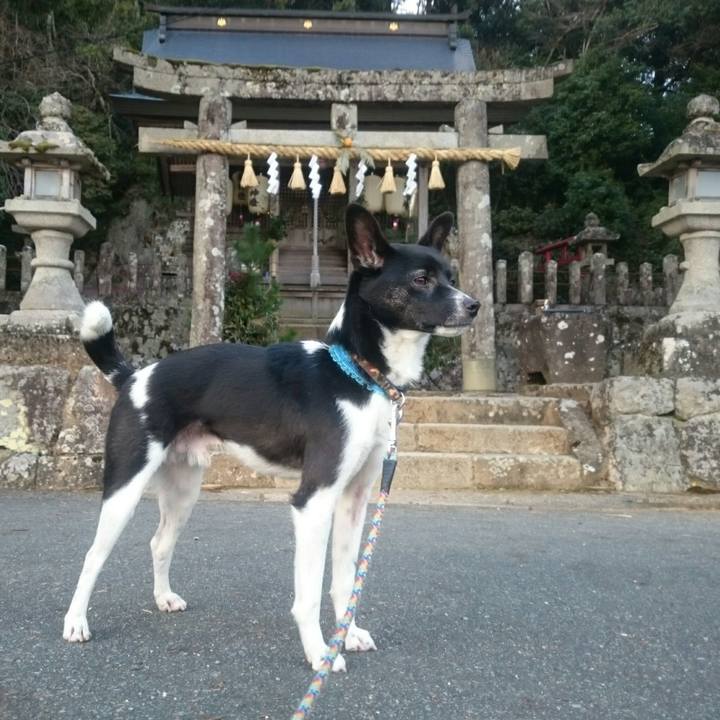 5a97c19b ff2c 4435 8843 4bab0f547da5