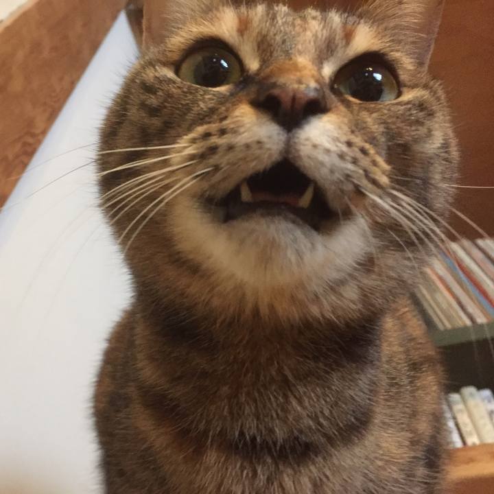 5a97c264 026d 455a af59 1e7fbed91473