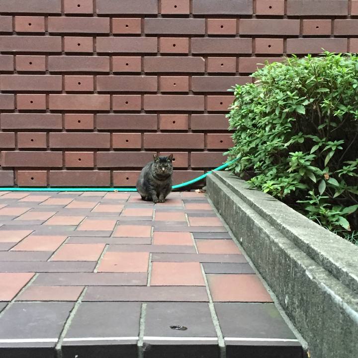 5a97e0e1 66c3 4c37 9548 a0746bef2b80