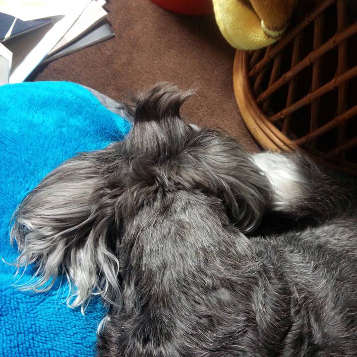 5a98e058 a50a 4e8f b6a1 48ba23e72ba3