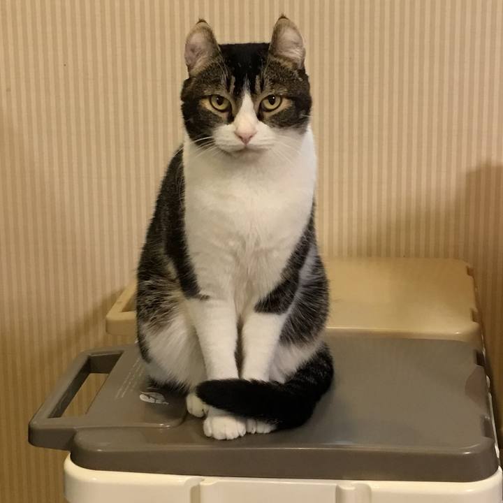 5a9a393c a740 46c3 854d d9d1369d328a