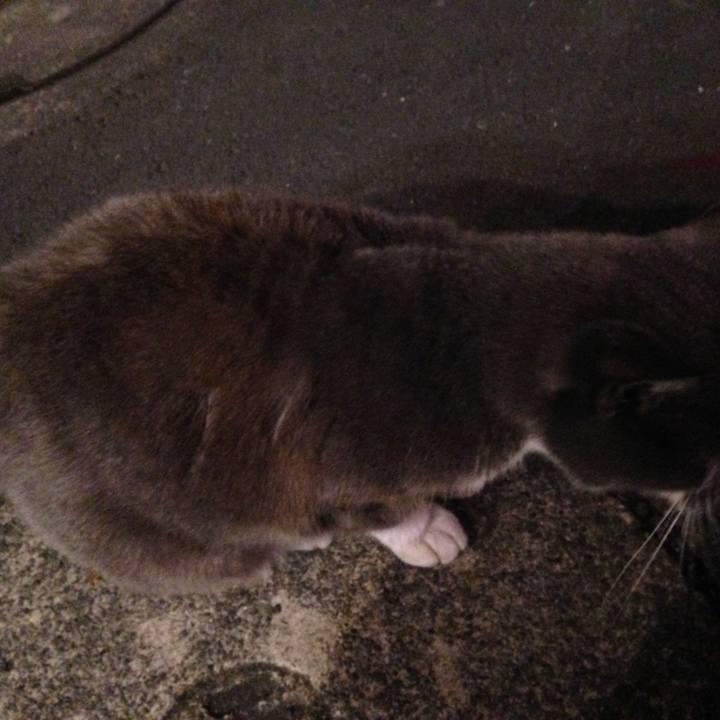 5a9ad45a 20c2 4853 b247 71203201189f