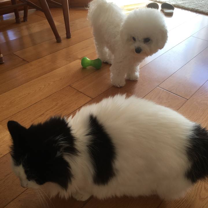 5a9b4bff 9270 42f8 9076 a12cfe22f9af