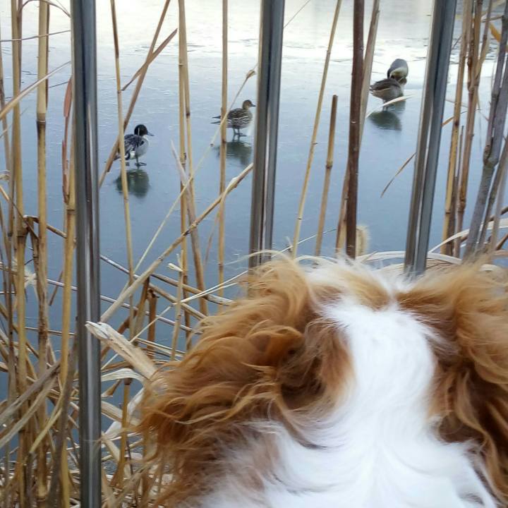 5a9bbe9a 3c33 493b ae0d c2f86963c929