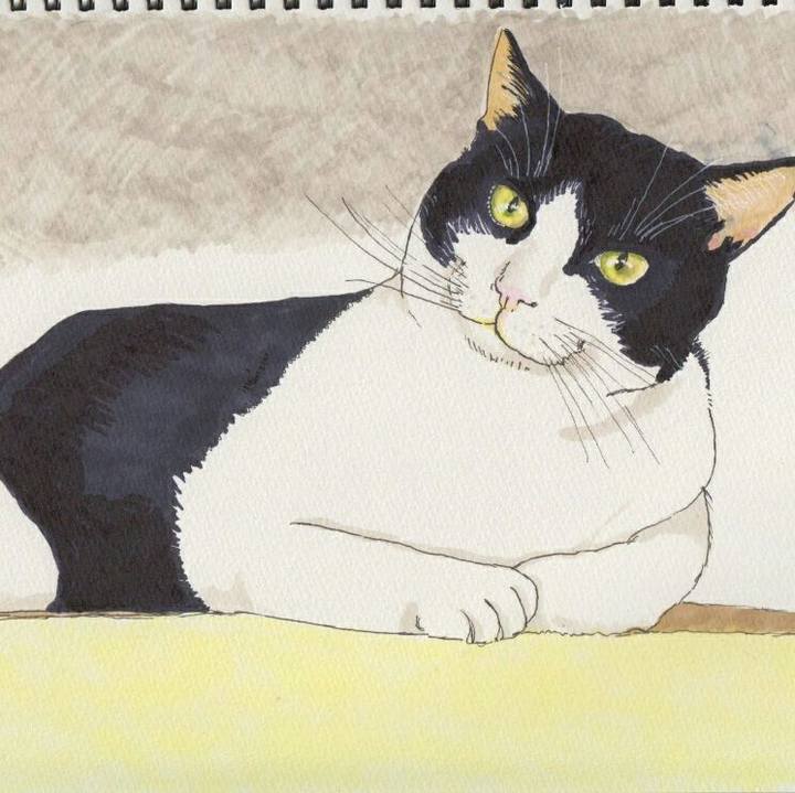 5a9beb3c c782 42d6 bb02 1a33c59cfae4